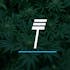Logo for the brand TokeCo